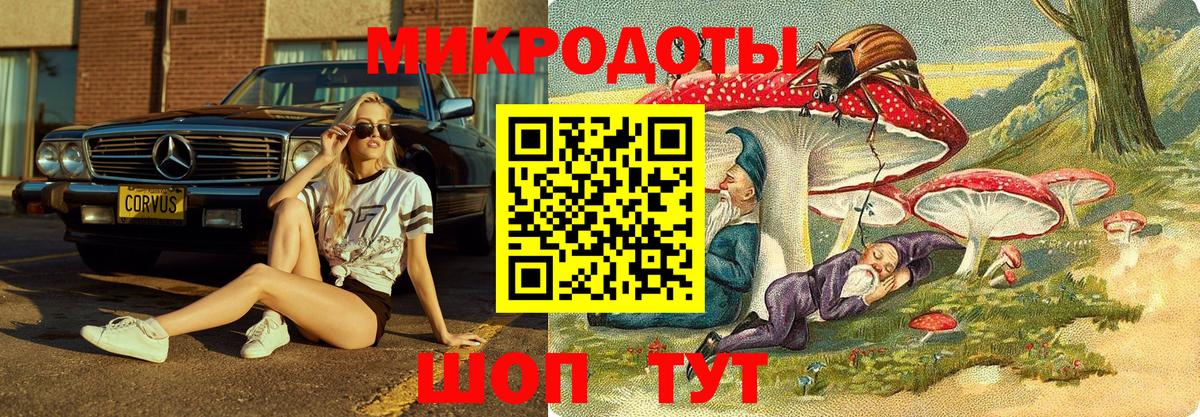 Галлюциногенные грибы GOLDEN TEACHER  Вход с VPN  Галлюциногенные грибы прущие грибы  Ялуторовск 